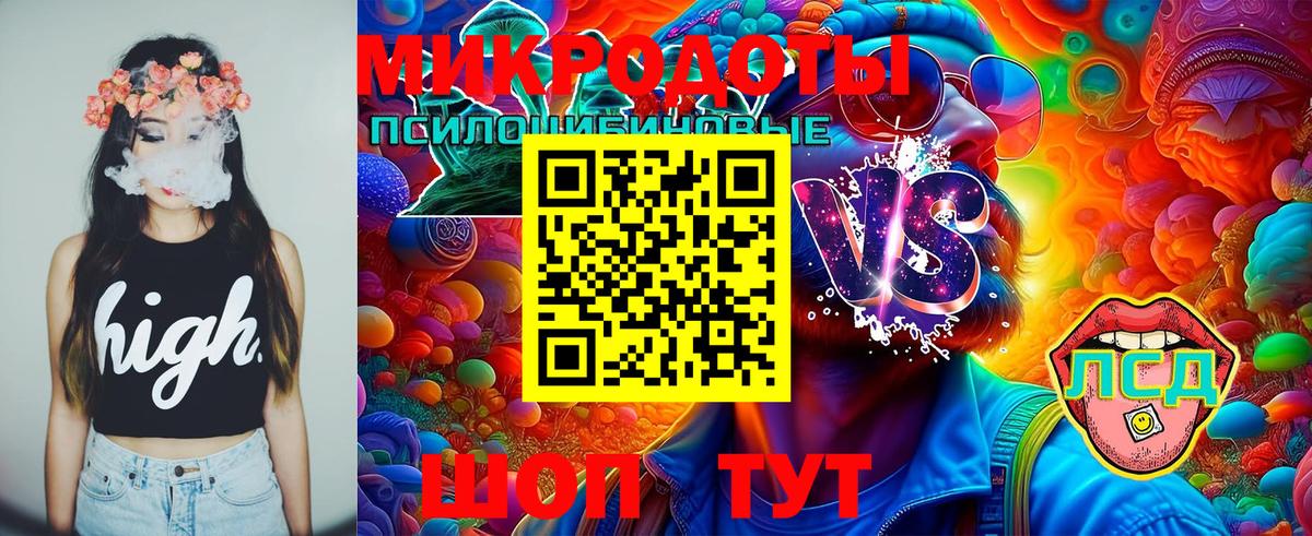 Курганинск  Псилоцибиновые грибы прущие грибы  Вход с VPN 